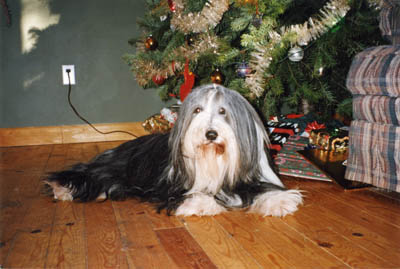 Christmas 1998. Megan lying and is posing in front of the Christmas tree.